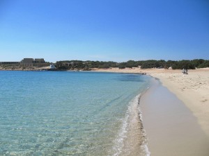Alyko beach in Naxos