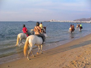Naxos horse riding