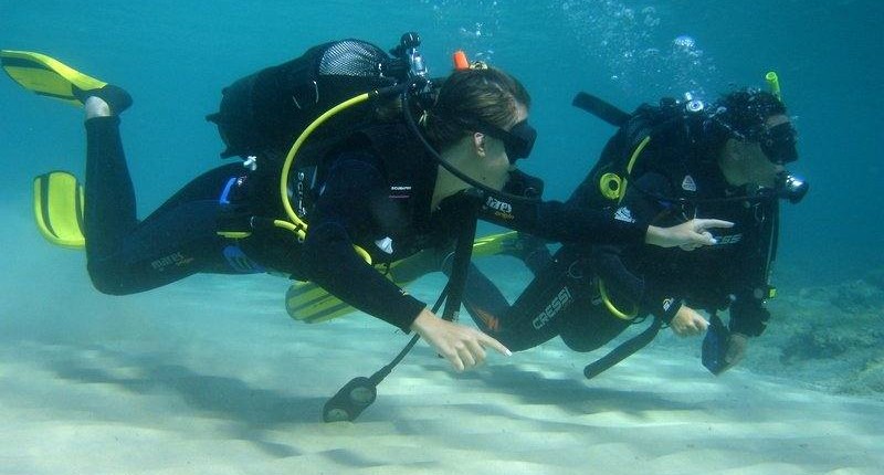 Diving