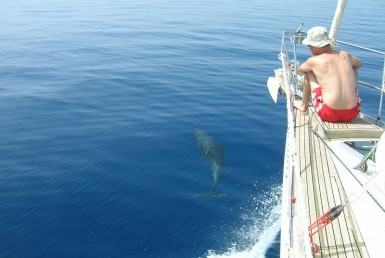 Naxos sailing yachting