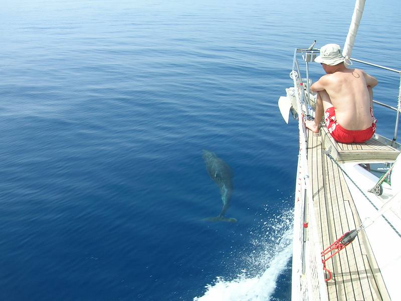 Naxos sailing yachting