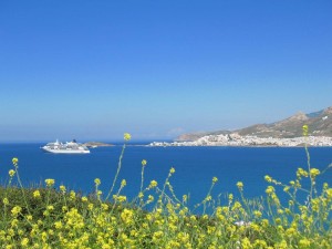 View from Stelida