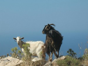 Mountainous Naxos